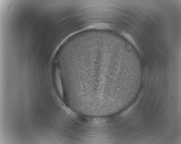 X0000068280923200605051837