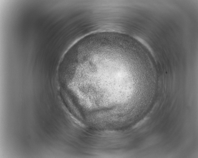 X0000068280925200605051837