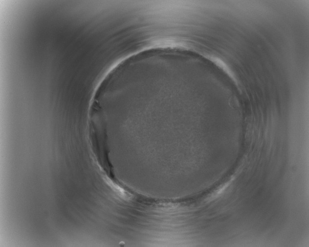 X0000068280927200605051838