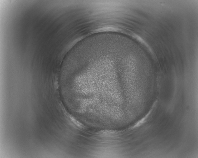 X0000068280929200605051838