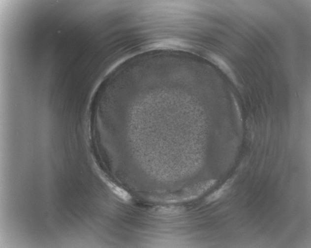 X0000068280931200605051838