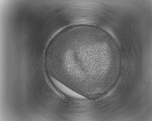 X0000068280933200605051838