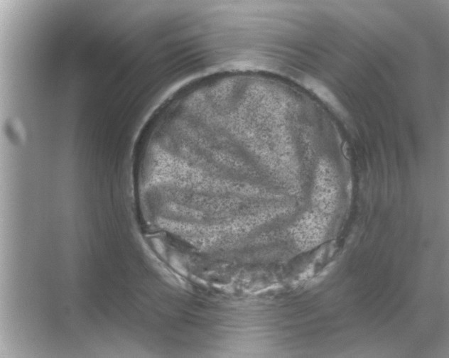 X0000068280934200605051838