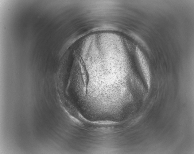 X0000068280937200605051838