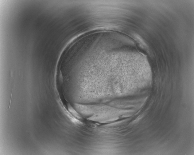 X0000068280940200605051838