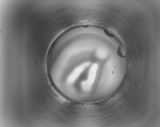 X0000068280941200605051838