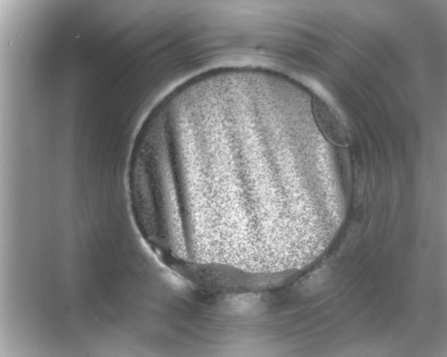 X0000068280943200605051838