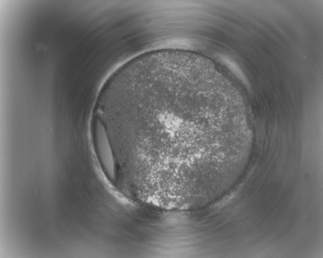 X0000068280944200605051838