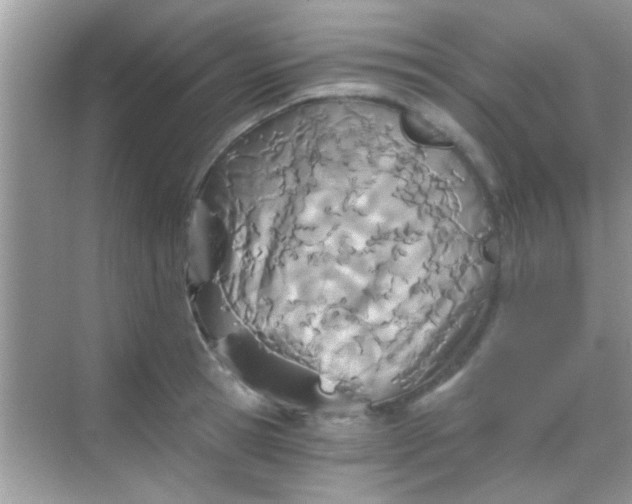 X0000068280945200605051838