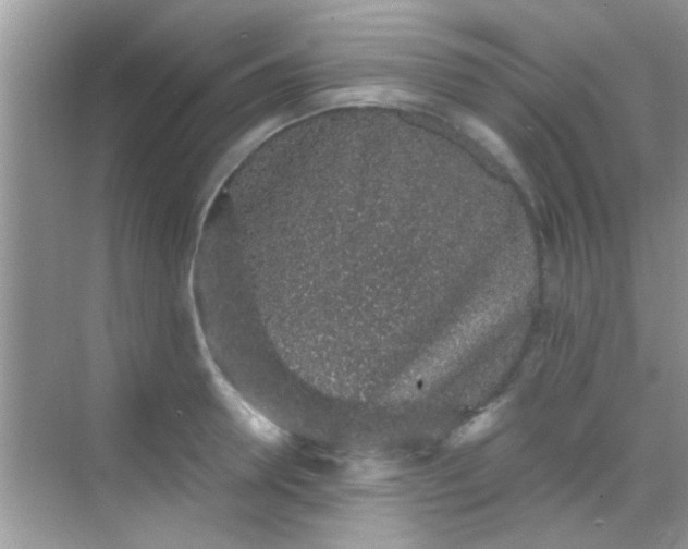 X0000068280946200605051838