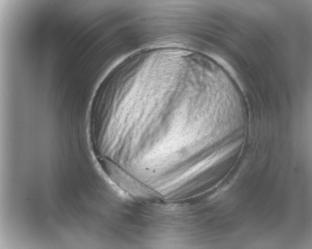 X0000068280949200605051838