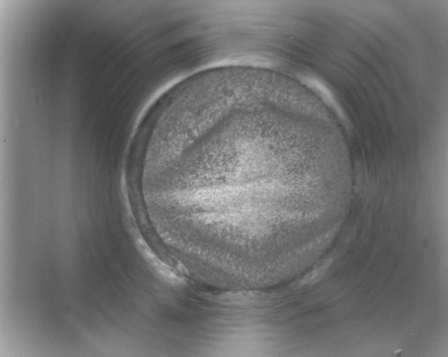 X0000068280952200605051838