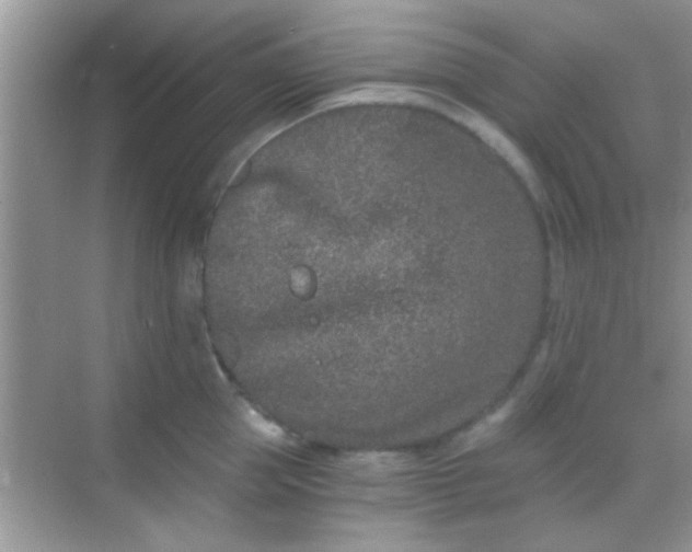 X0000068280953200605051838