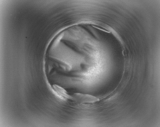 X0000068280955200605051838