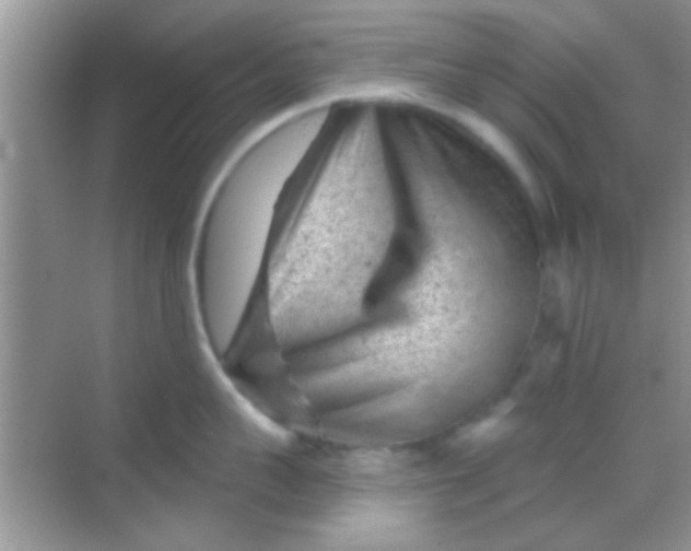 X0000068280959200605051838