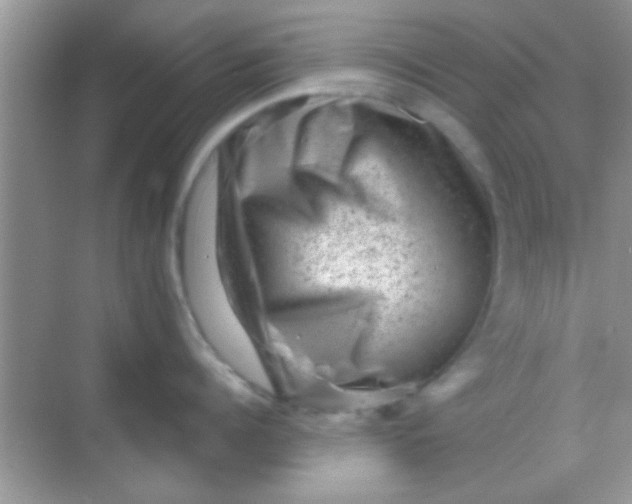 X0000068280960200605051838