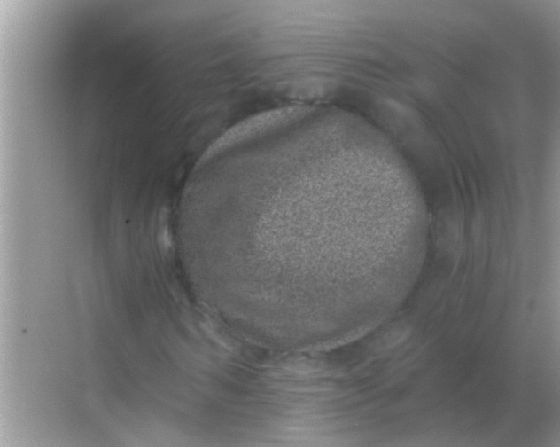 X0000068280962200605051837