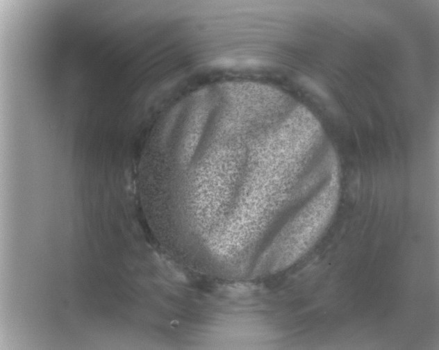 X0000068280966200605051837