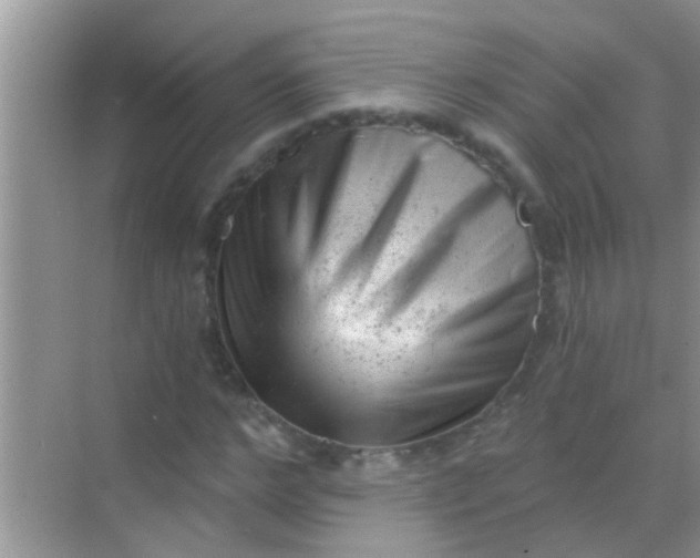 X0000068280968200605051837