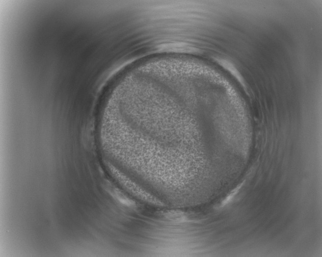 X0000068280971200605051837