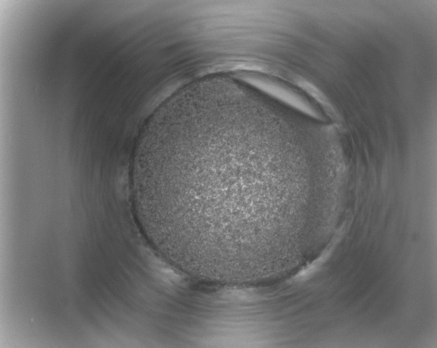 X0000068280977200605051837