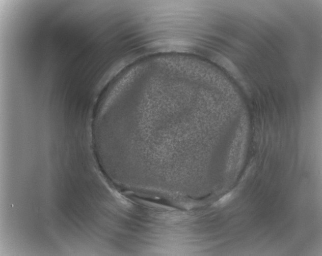 X0000068280978200605051837