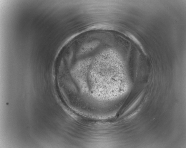 X0000068280981200605051837