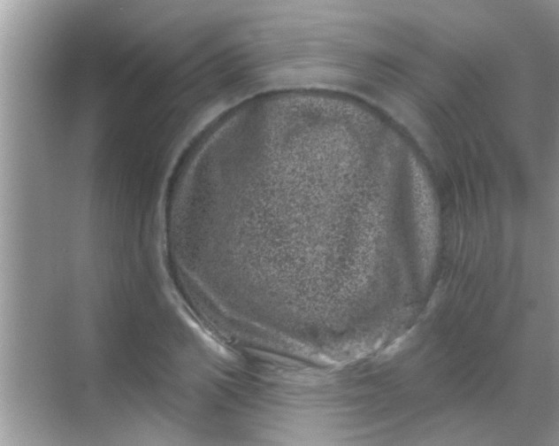 X0000068280982200605051837