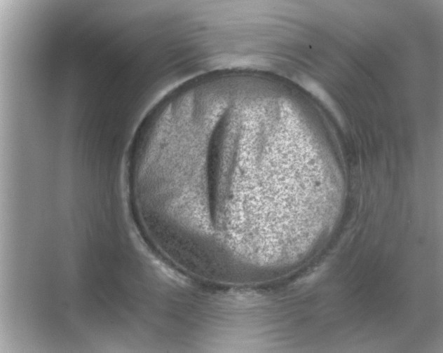 X0000068280983200605051837