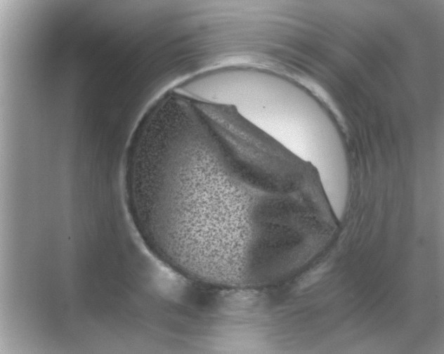 X0000068280991200605051837