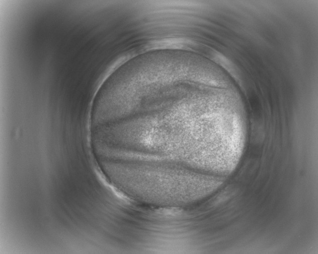 X0000068280994200605051837