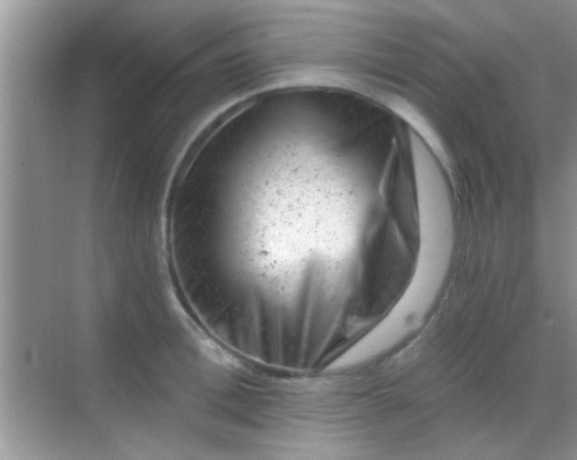 X0000068280996200605051837