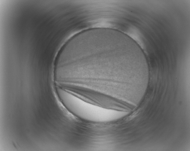 X0000068281000200605051837