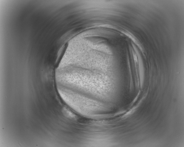 X0000068281001200605051837