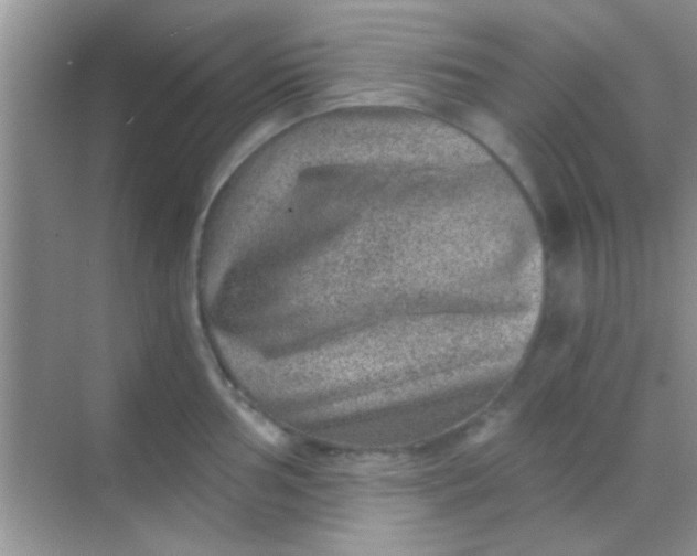 X0000068281002200605051837