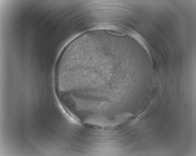 X0000068281003200605051837