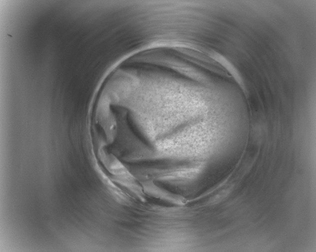 X0000068281004200605051837