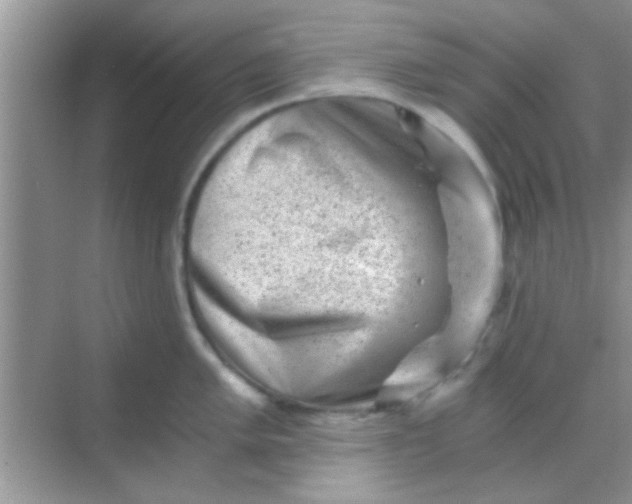 X0000068281005200605051837