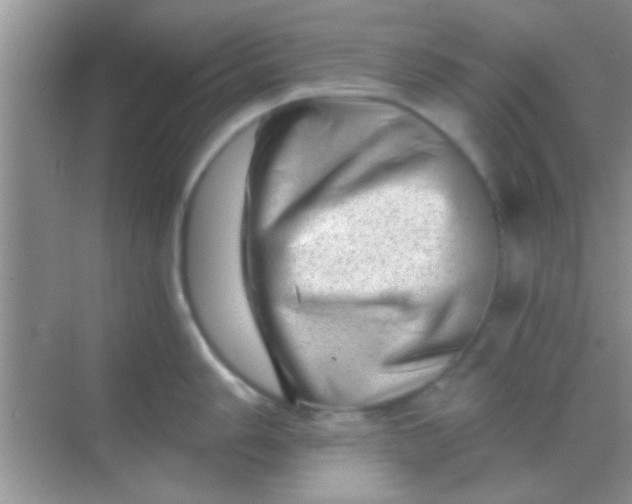 X0000068281006200605051837