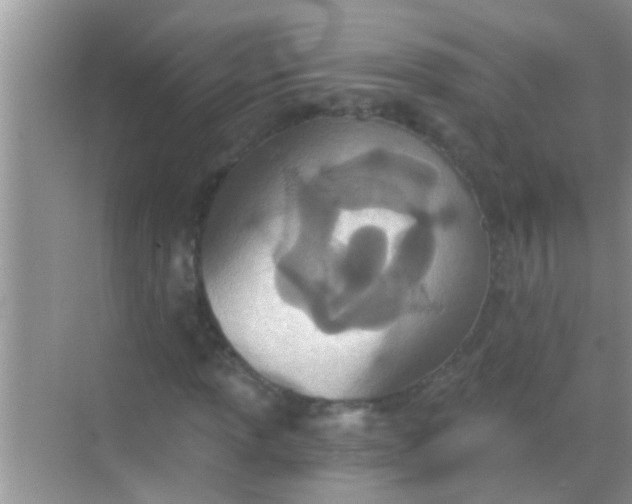 X0000068281013200605051836