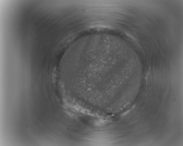 X0000068281014200605051836