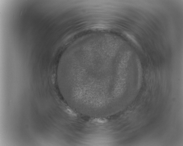 X0000068281015200605051836