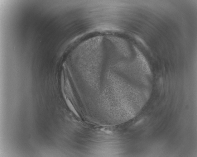 X0000068281016200605051836