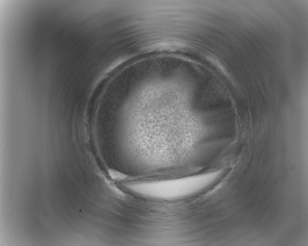 X0000068281018200605051836