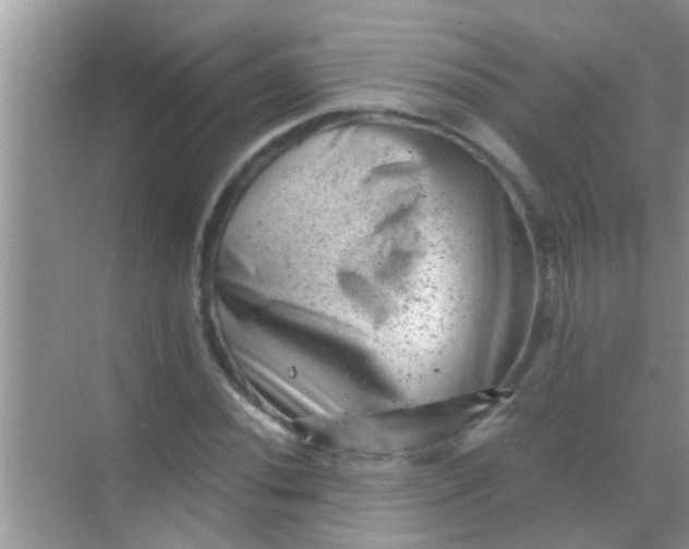 X0000068281020200605051836