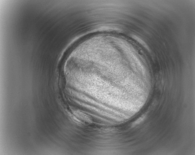 X0000068281021200605051836