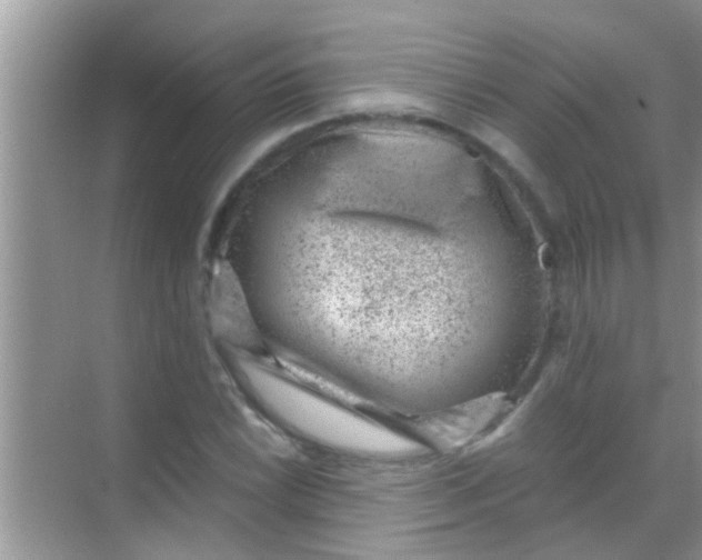 X0000068281022200605051836