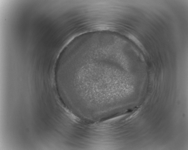 X0000068281023200605051836