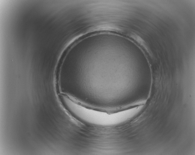 X0000068281024200605051836