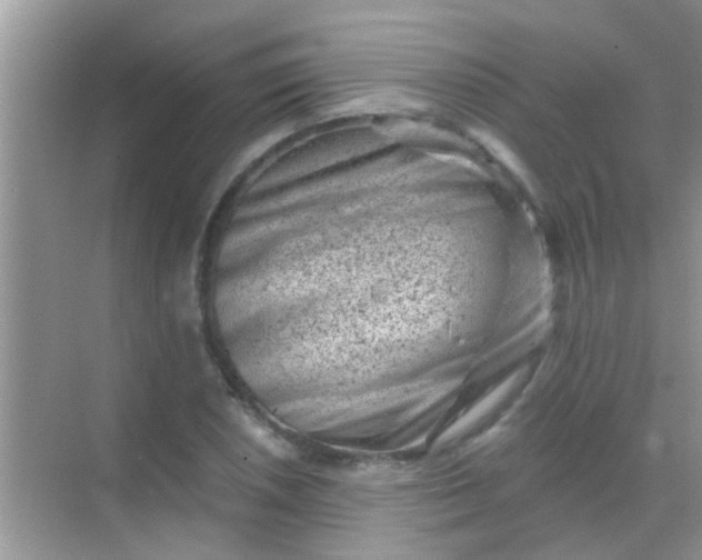 X0000068281026200605051836